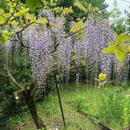Les Sources לינה וארוחת בוקר *